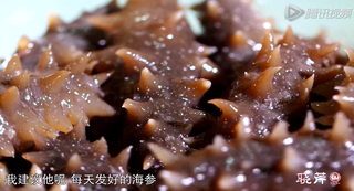 海參進(jìn)補(bǔ)從娃娃抓起，兒童吃海參的好處！