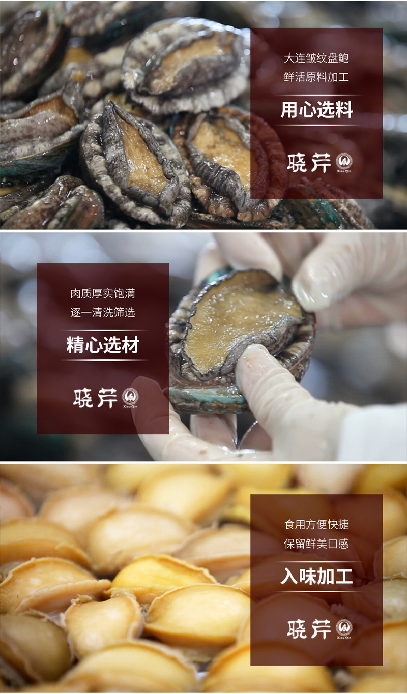 鮑魚(yú) ,大連鮑魚(yú) ,曉芹鮑魚(yú) ,鮑魚(yú)品牌,即食鮑魚(yú),去殼鮑魚(yú)