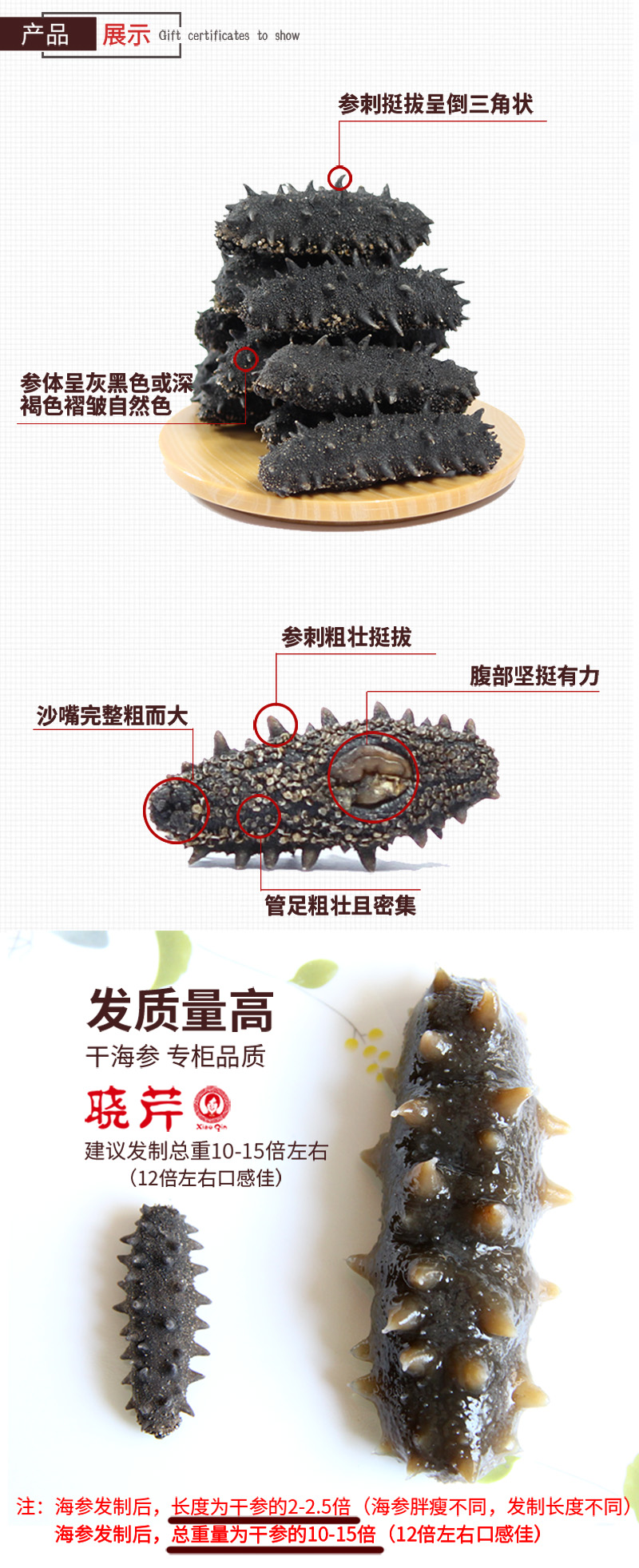 海參,干海參,大連海參,曉芹海參,海參品牌,遼刺參,海鮮水產(chǎn) 海參,干海參,大連海參,曉芹海參,海參品牌,遼刺參,海鮮水產(chǎn)